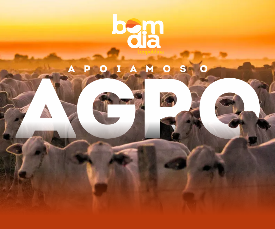 banner-agro-1