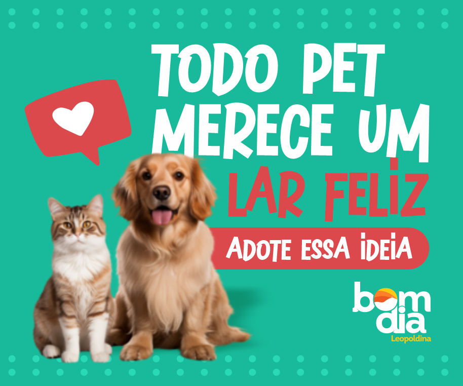 banner-pet